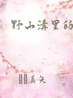 野山沟里的村庄