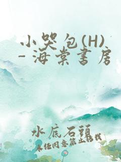 小哭包(H) - 海棠书房