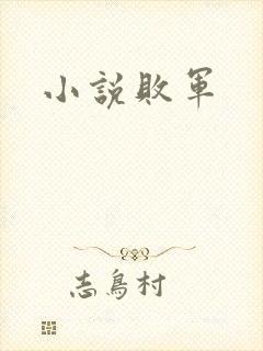 小说败军