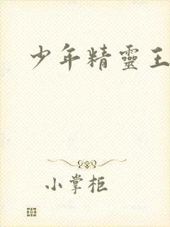 少年精灵王