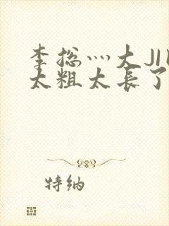 李总灬大JI巴太粗太长了