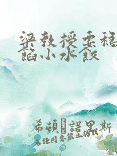 梁教授要稳住肉馅小水饺