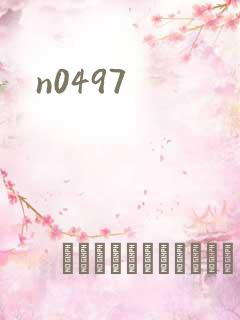 n0497