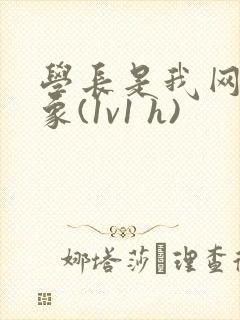 学长是我网恋对象(1v1 h)