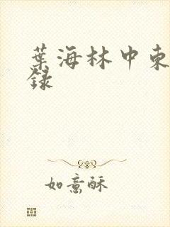 叶海林中东风云录