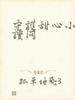 守护甜心小说阅读网
