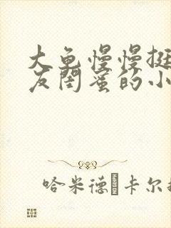 大龟慢慢挺进女友闺蜜的小说