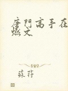 唐门高手在异世燃文