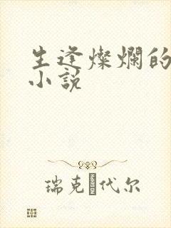 生逢灿烂的日子小说