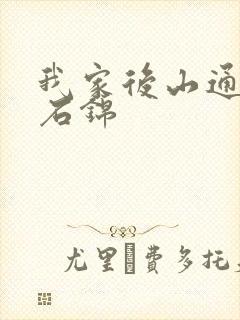 我家后山通仙界石锦