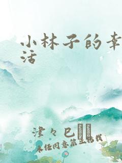 小林子的幸福生活