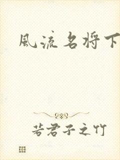 风流名将下载