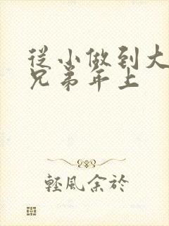 从小做到大骨科兄弟年上