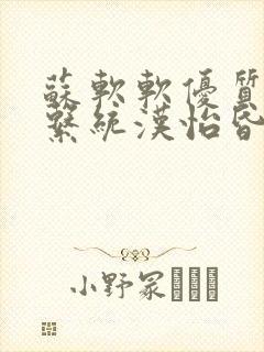 苏软软优质灌溉系统汉怡昏