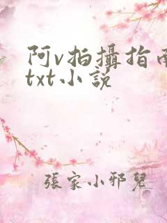 阿v拍摄指南说txt小说