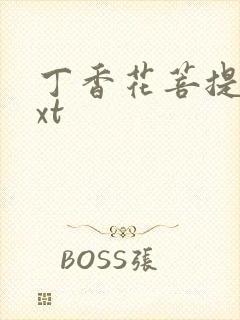 丁香花菩提树txt