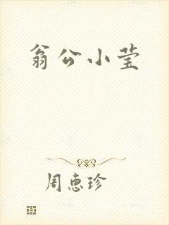 翁公小莹