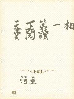 天下第一相书免费阅读
