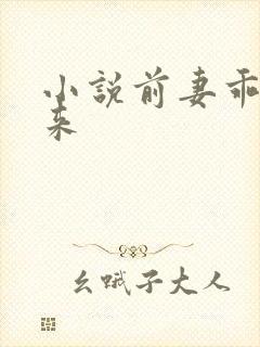 小说前妻乖乖回来