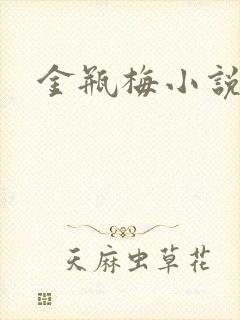 金瓶梅小说下载