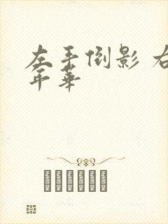 左手倒影 右手年华