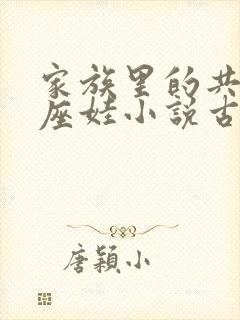 家族里的共用小座娃小说古代