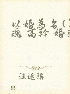 以婚为名 (军魂 高干 婚恋)