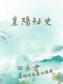 襄阳秘史