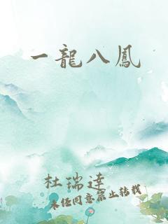 一龙八凤