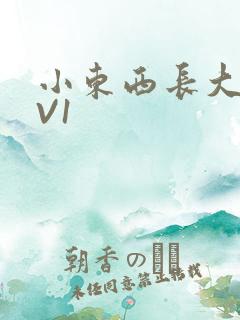 小东西长大了1V1