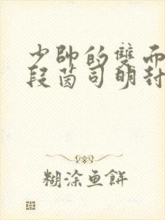 少帅的双面宠妻段茵司明封免费