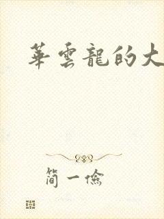 华云龙的大宝贝