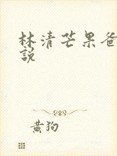 林清芒果爸爸小说