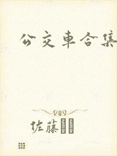 公交车合集