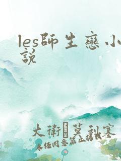 les师生恋小说