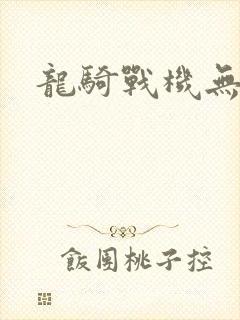 龙骑战机无弹窗