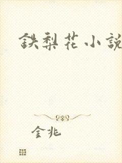 铁梨花小说
