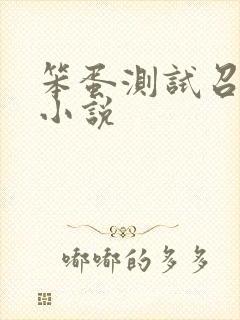 笨蛋测试召唤兽小说