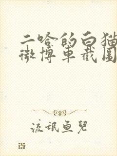 二哈的白猫师尊微博车截图