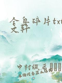 全息碎片txt文轩