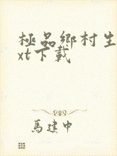 极品乡村生活txt下载