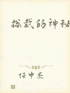 总裁的神秘情人