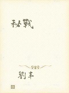 秘战