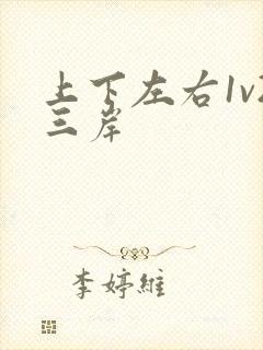 上下左右1v2三岸