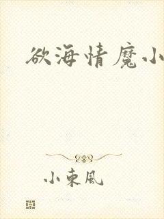 欲海情魔小说