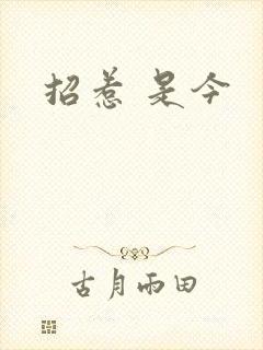 招惹 是今
