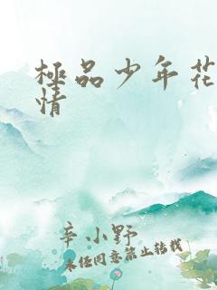 极品少年花都燃情