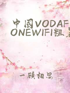 中国VODAFONEWIFI粗暴APP
