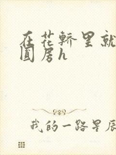 在花轿里就开始圆房h