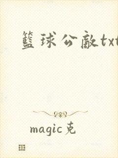 篮球公敌txt